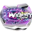 Logo Wildstyle