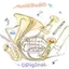 Logo Blasmusikradio
