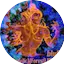 Logo Bluffphonica
