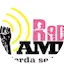 Logo RadioAMLO