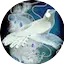 Logo Radio Coucou