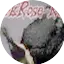 Logo DarkRose Radio