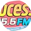 Logo Rádio Sucesso FM