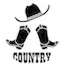 Logo TopCountry100