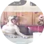Logo Elvisjunkie