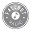 Logo Fallout Radio