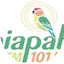 Logo Rádio Ibiapaba FM