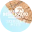 Logo Das Inselradio SOMMERHITS