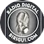 Logo Rádio Digital Birigui