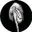 Logo Mutronix