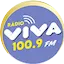 Logo Viva FM