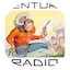 Logo Venture Radio - Pumpkin FM