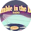 Logo Stumble In The Dark Radio