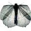 Logo Nachtfalter