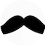 Logo Plainslender