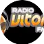 Logo Rádio Vitória FM 98.1