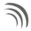 Logo PIN FM