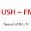 Logo PUSH-FM