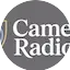Logo Camelot