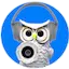 Logo Nido Musical