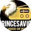 Logo Princesavior