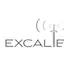 Logo Fm Excalibur