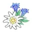 Logo Radio Schlagerstar