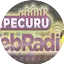 Logo Itapecuru Web Rádio