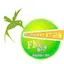 Logo Rádio Primavera FM
