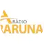 Logo Araruna FM