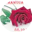 RADIO MAWOUA
