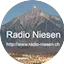Logo Radio Niesen