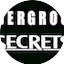 Logo Underground Secrets