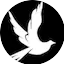 Logo Xvh Radio