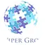 Logo Viper Group