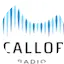 Logo Vacalloria Radio