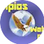 Logo Princípios Web Rádio