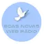 Logo Boas Novas Web Rádio