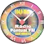Logo Rádio Pontual FM