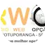 Rádio WEB Opção