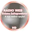 Logo RÁDIO WEB Sistema Saltograndense