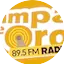 Logo Pampa de Oro