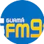 Logo Rádio Guamá
