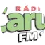 Logo Rádio Caruá FM