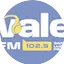 Logo Rádio Vale FM