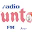 Logo Radio PuntoFM