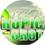 Rádio Tropical Grotão