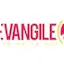 Logo Fm Evangile 66