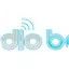 Logo B C V