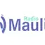 Logo Maulina FM